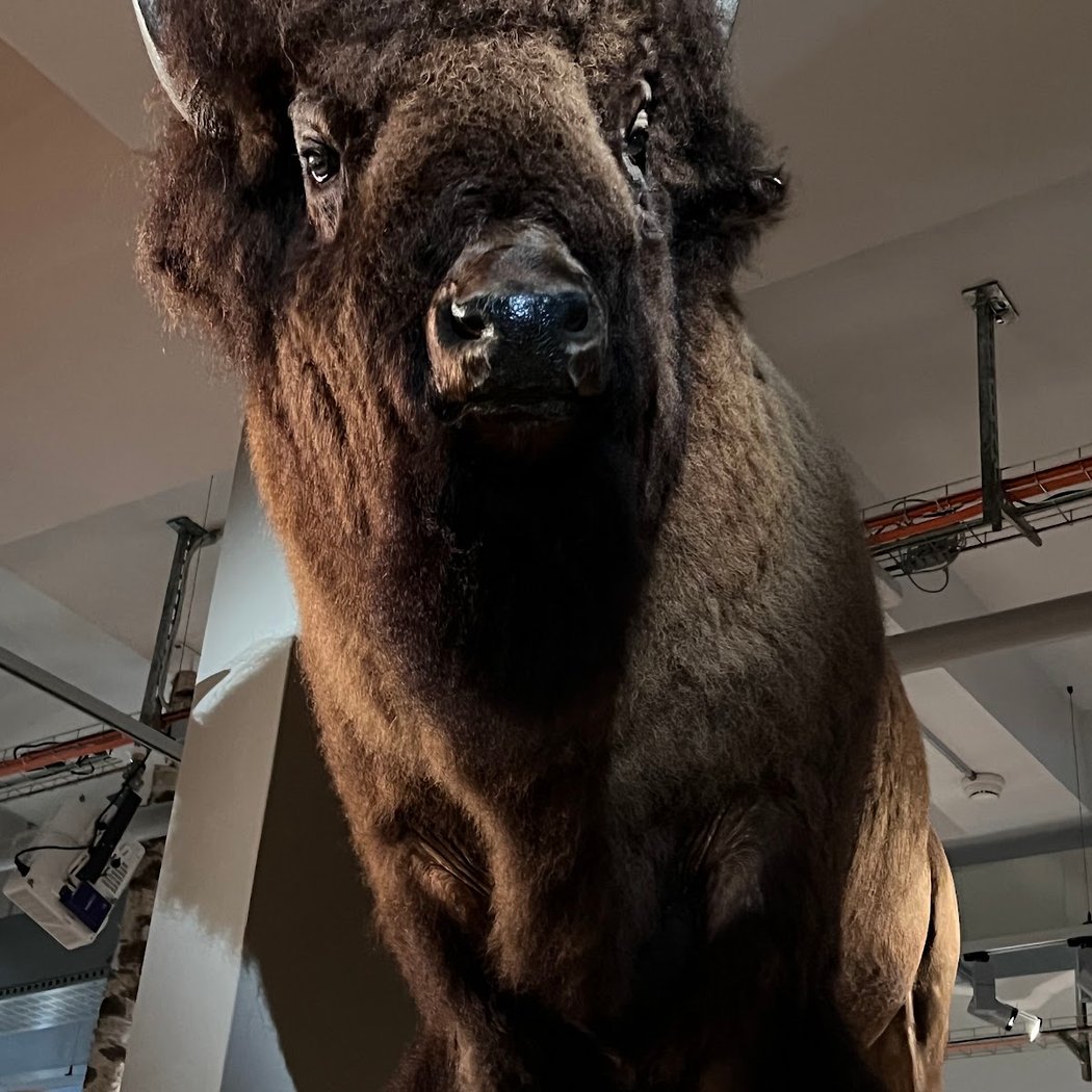 Nordamerika Native Museum NONAM 3