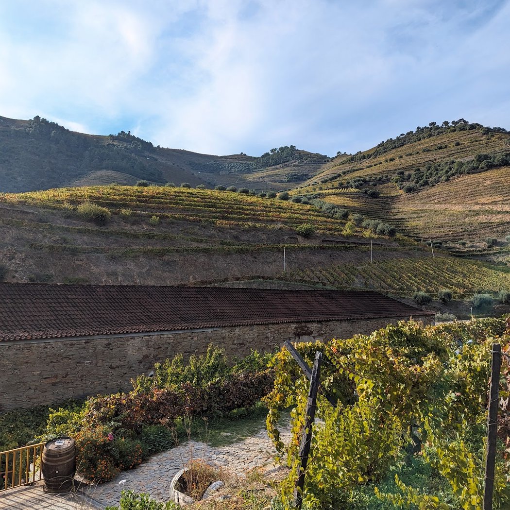 Quinta do Infantado 1