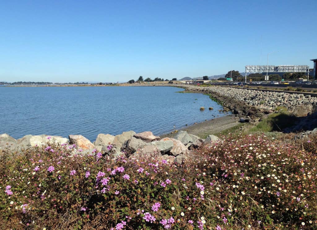 Bay Trail 2