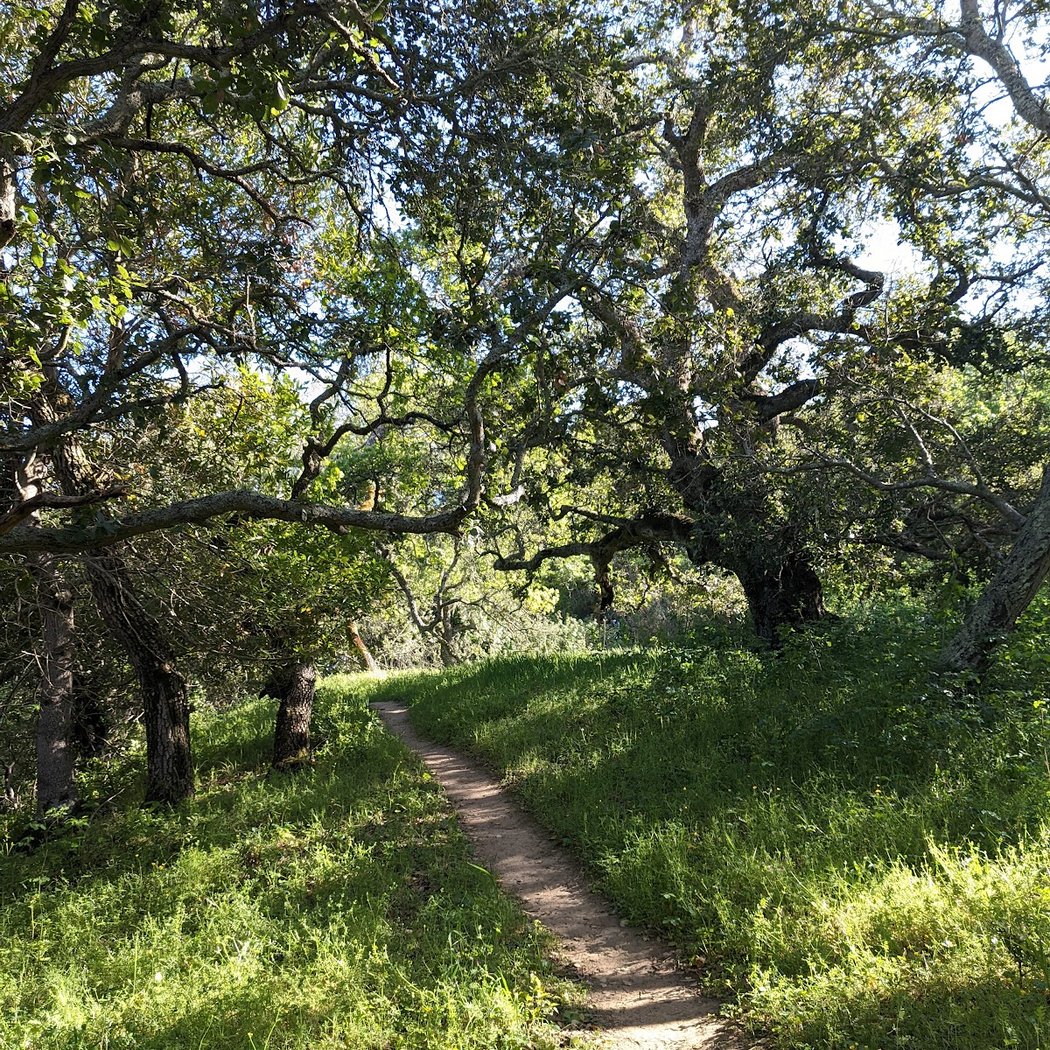 Moller Ranch Staging Area 2