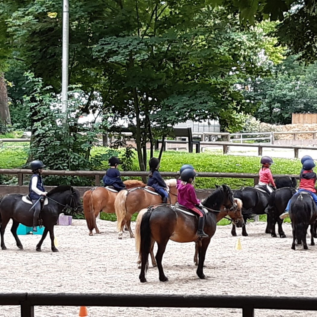 Pony Club of Brimborion 1