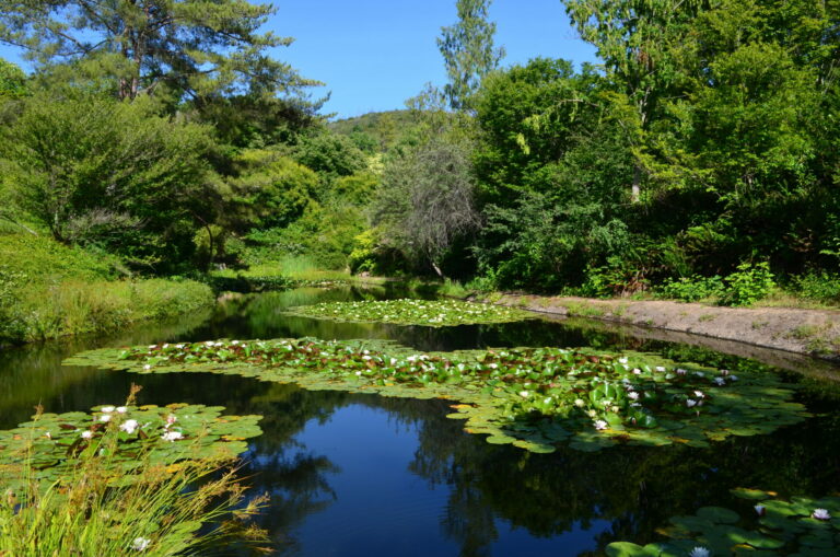 Sonoma Botanical Garden 3