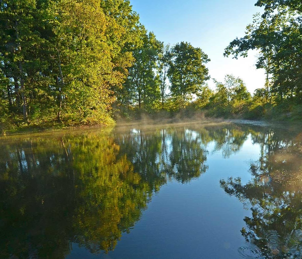 Five Rivers Environmental Education Center 1