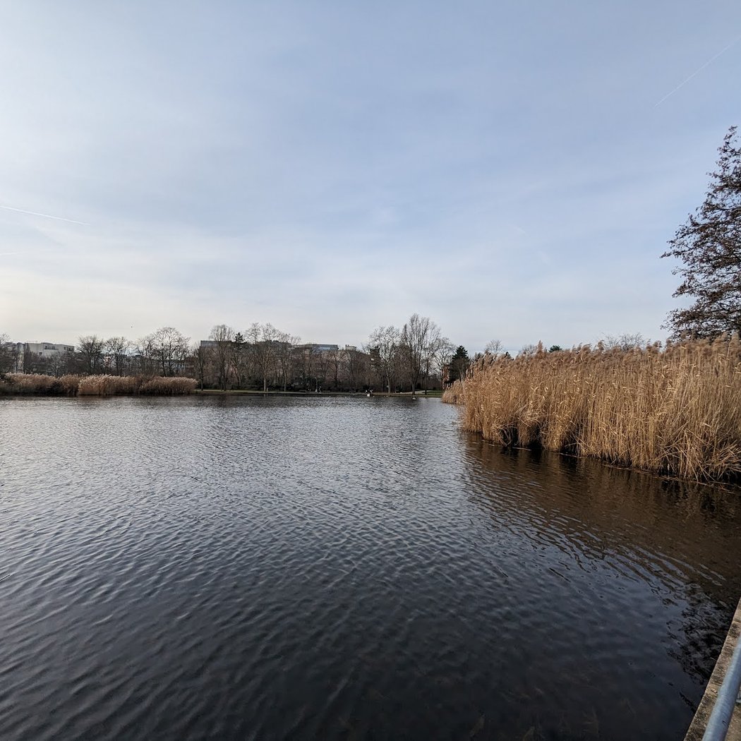 Étang du parc André Malraux 3