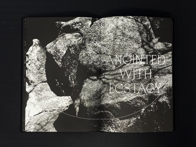 Hunters Follow Harpy Shadows — Conversation with Rin Kim, Oliver Davis, Olivia Ross, and nicole killian 1