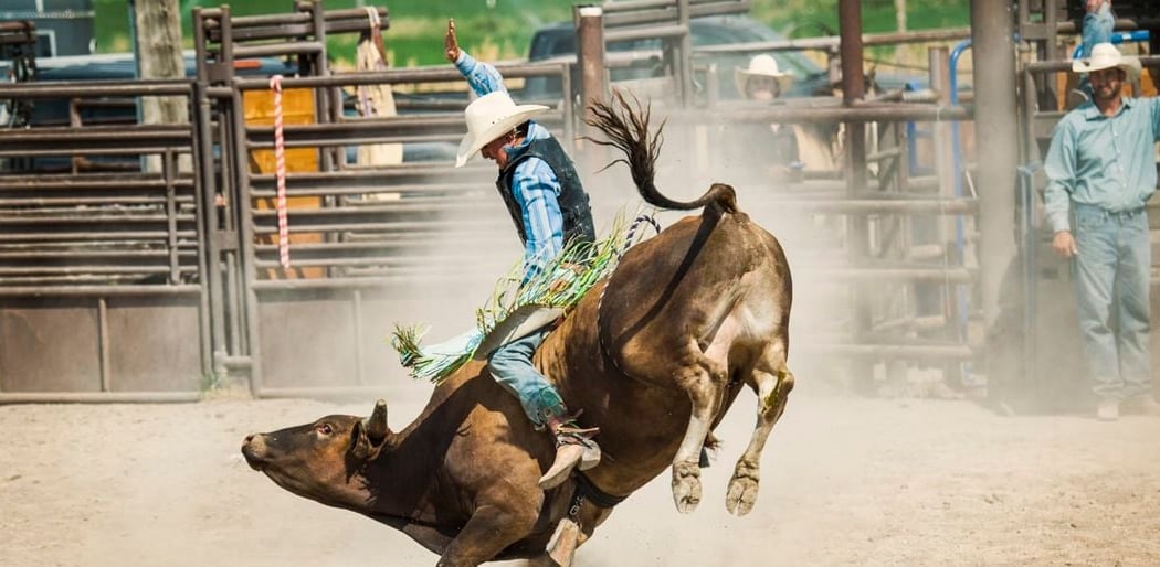 National Finals Rodeo 1