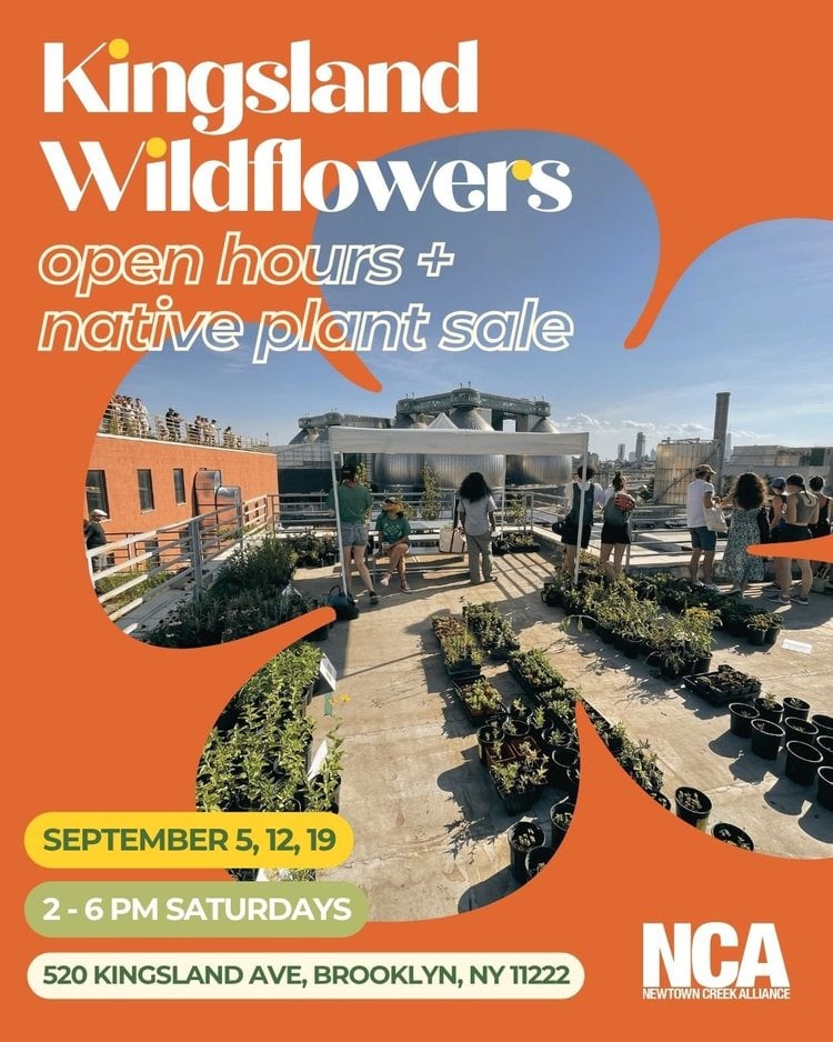 Kingsland Wildflowers Open Hours