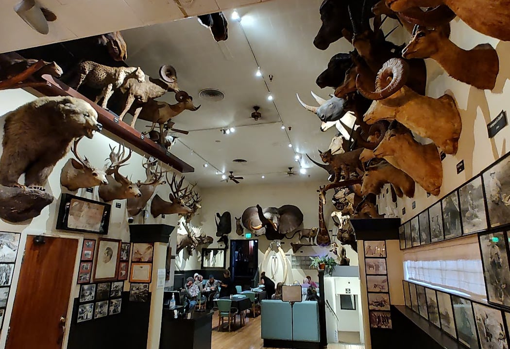 Foster's Bighorn 3