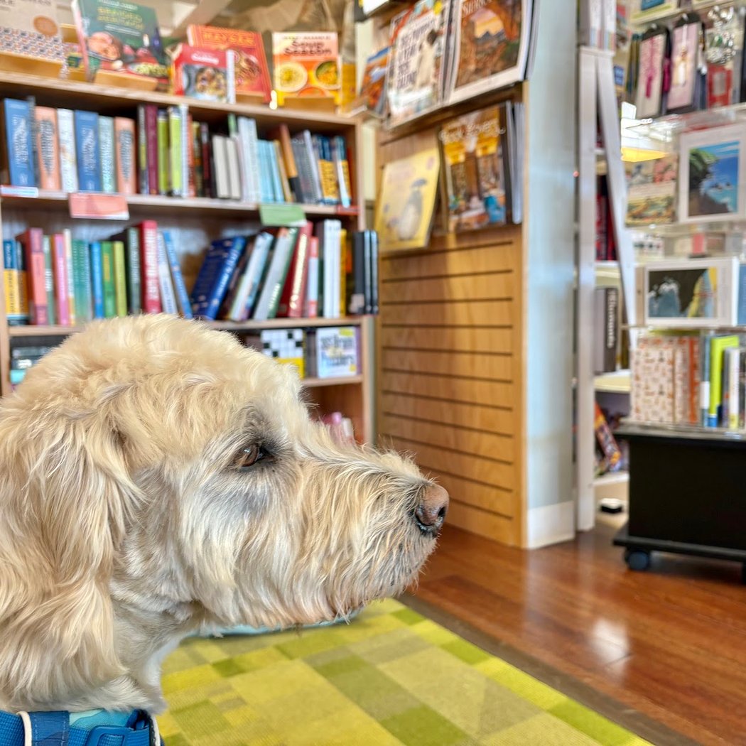 Andy: A Dog’s Tale Storytime Event 1