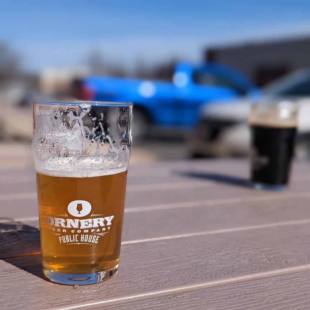 Books on Tap @ Ornery Brewery 2