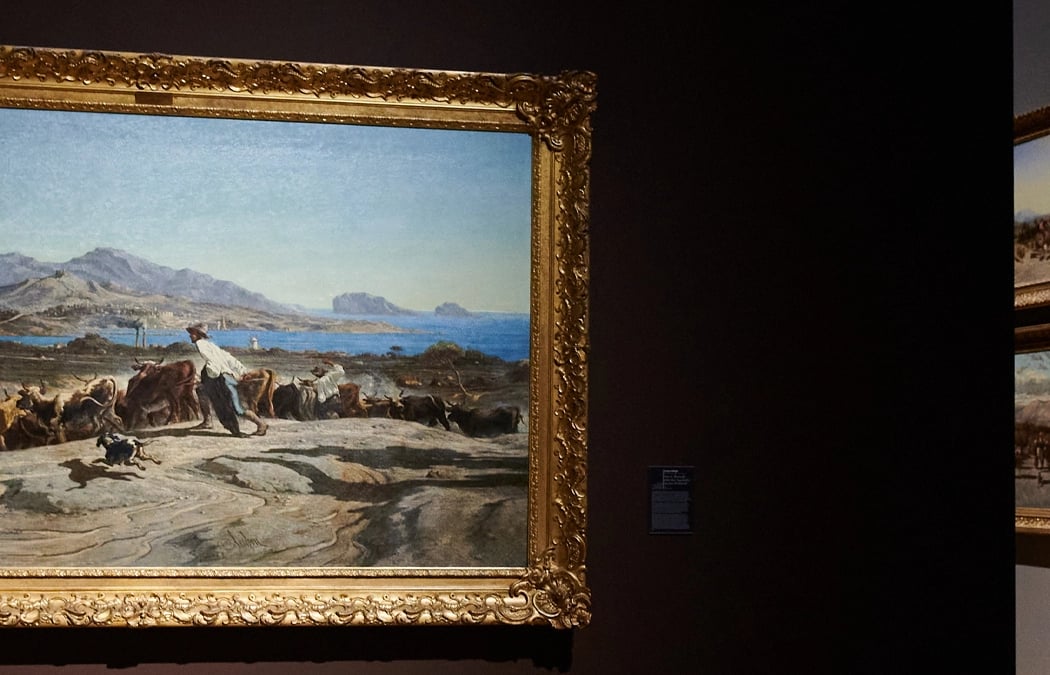 Musée des Beaux-Arts, Marseille 1