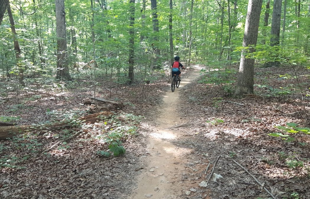 Sherman Branch Nature Preserve 3