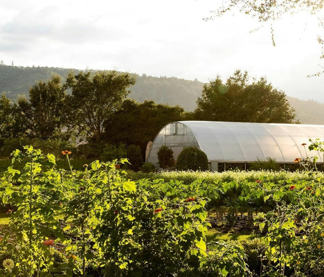 The French Laundry Culinary Garden 1