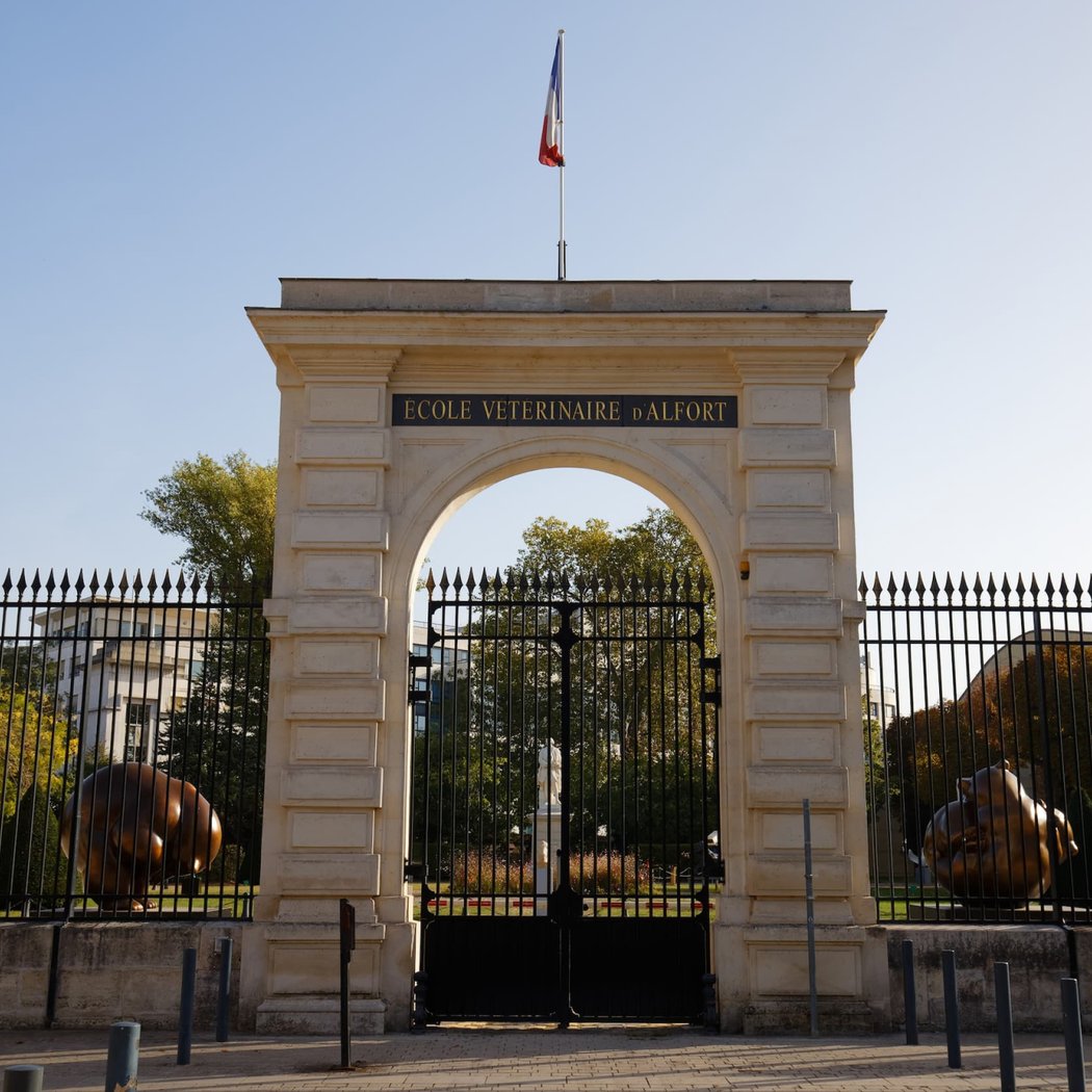 Alfort National Veterinary School 2