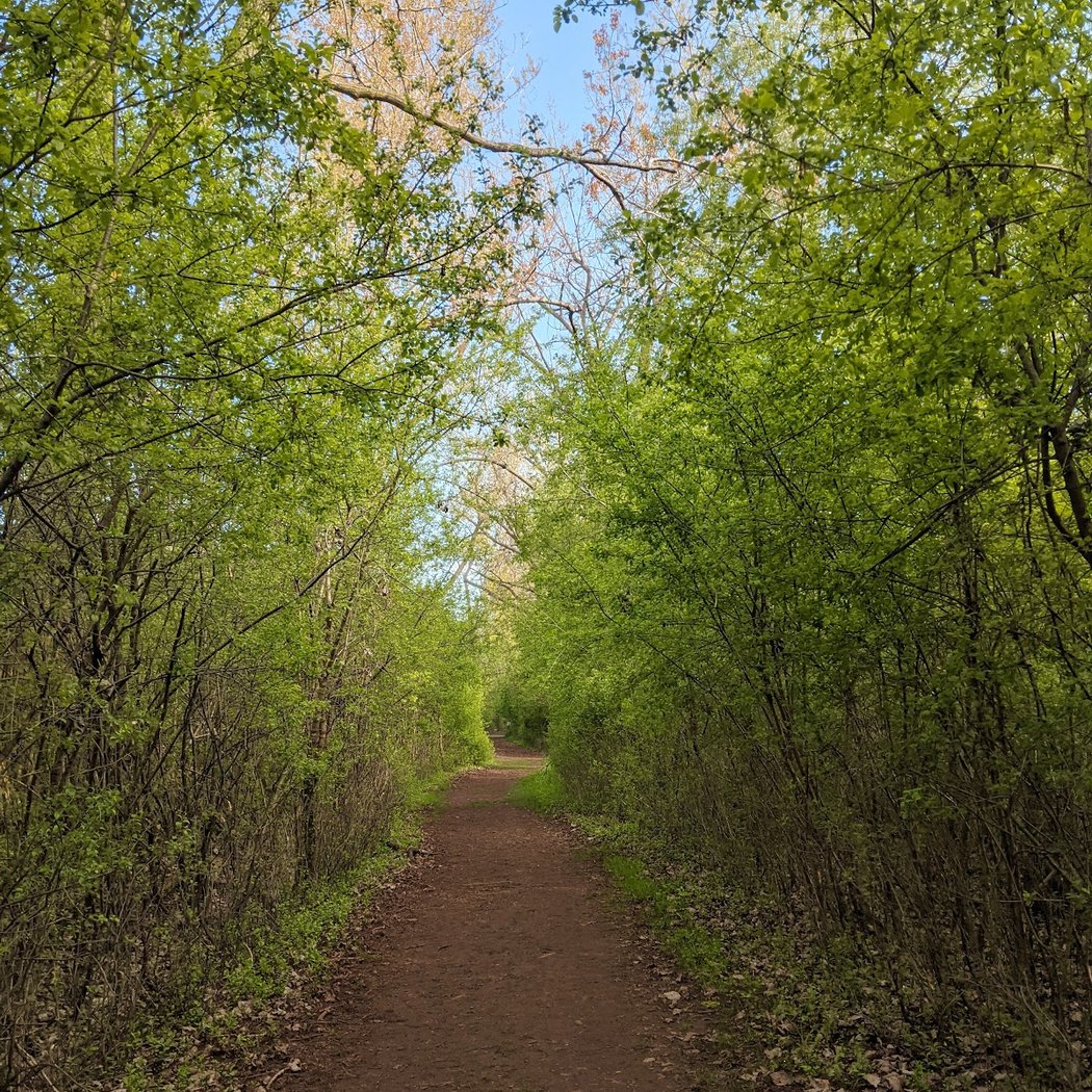 Tifft Nature Preserve 5