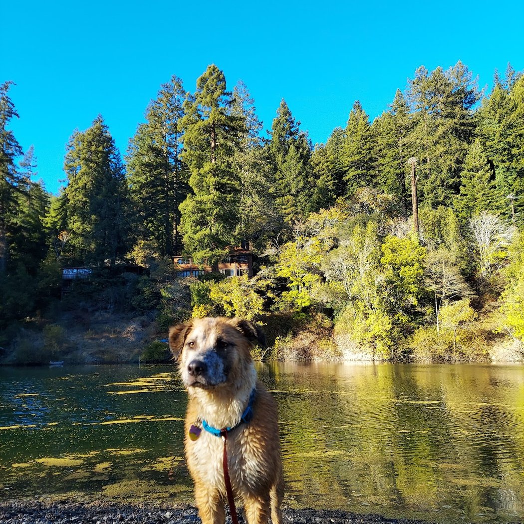 Patterson Point Preserve 1