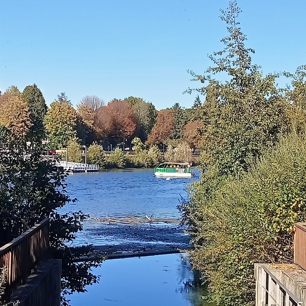 île Nancy 5