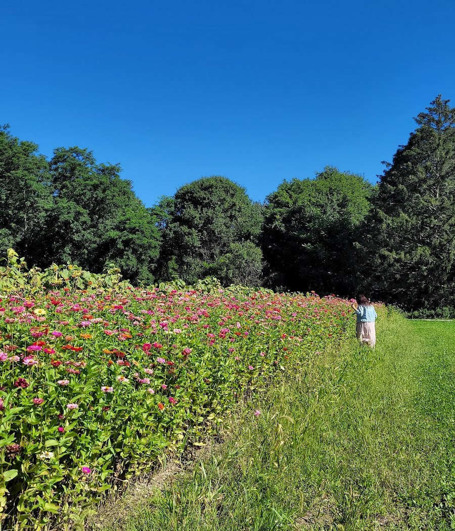 Taliaferro Farms 2