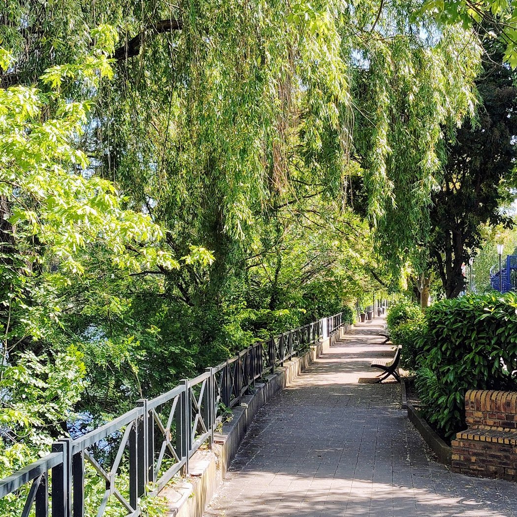 Bord de Marne 2