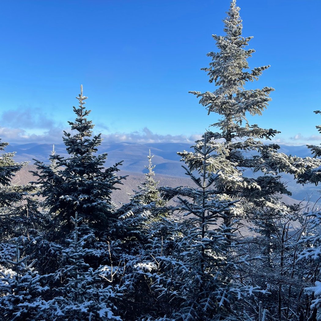 Slide Mountain Wilderness 1