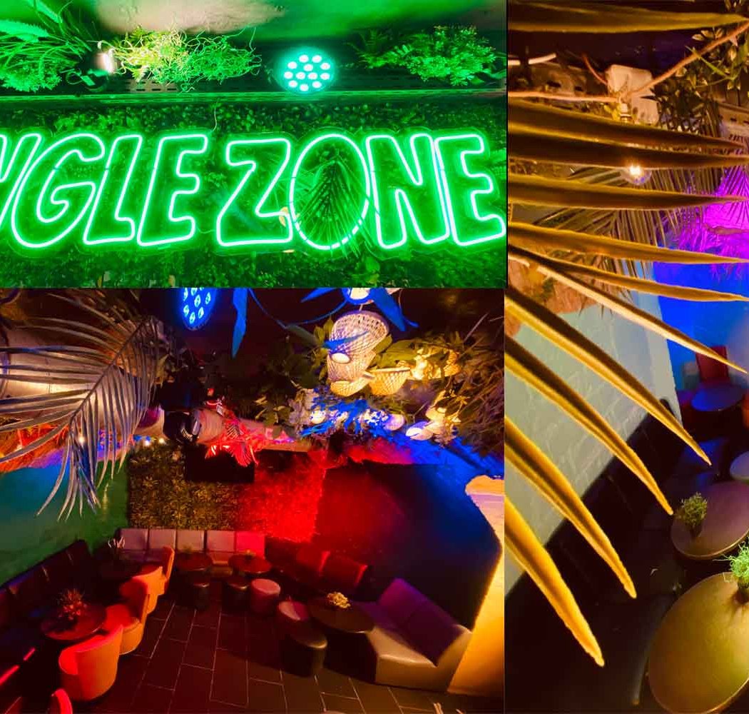 Jungle Zone 3