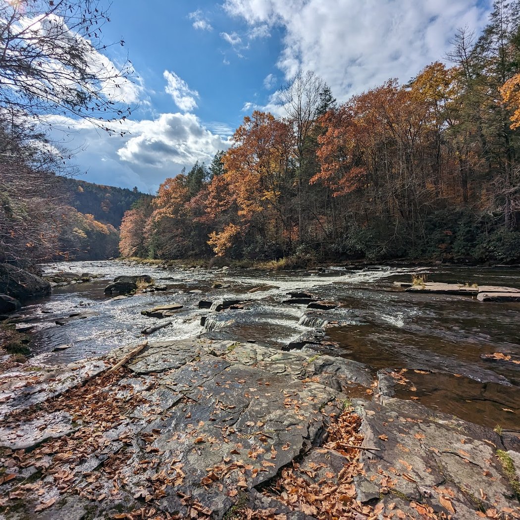 Neversink River Unique Area 2