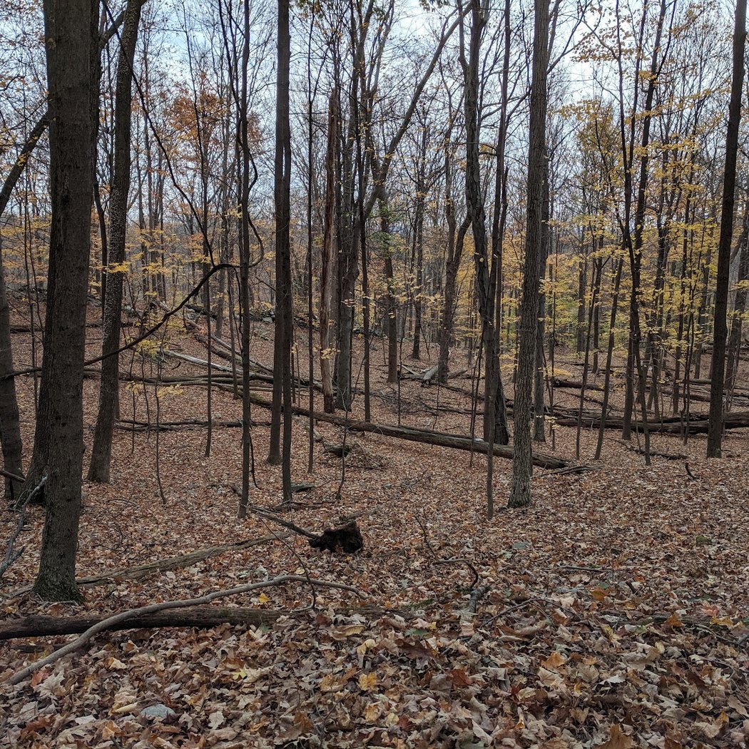 Winding Hills County Park 2