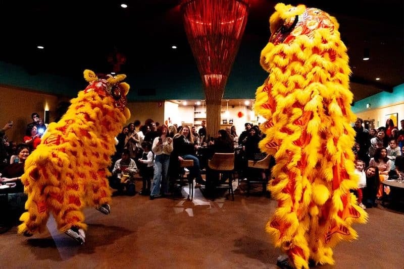 Lunar New Year Celebration