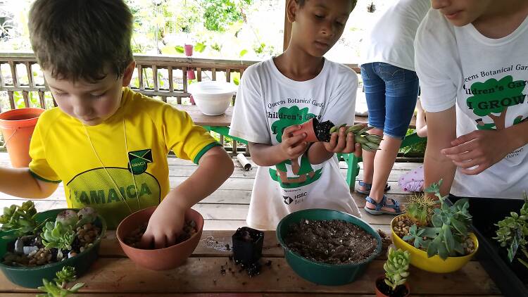 Summer Children's Garden 1