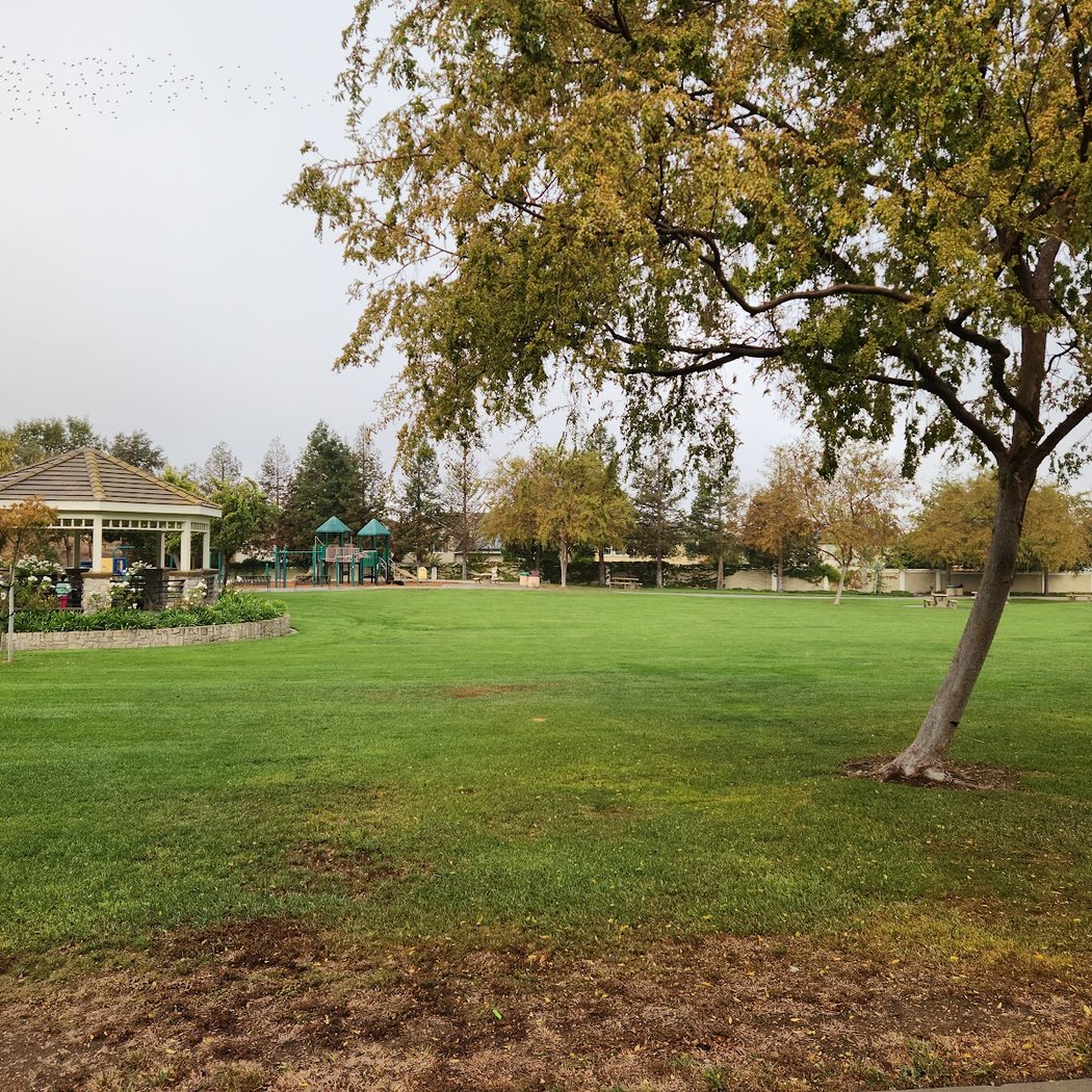 Limerick Park 2