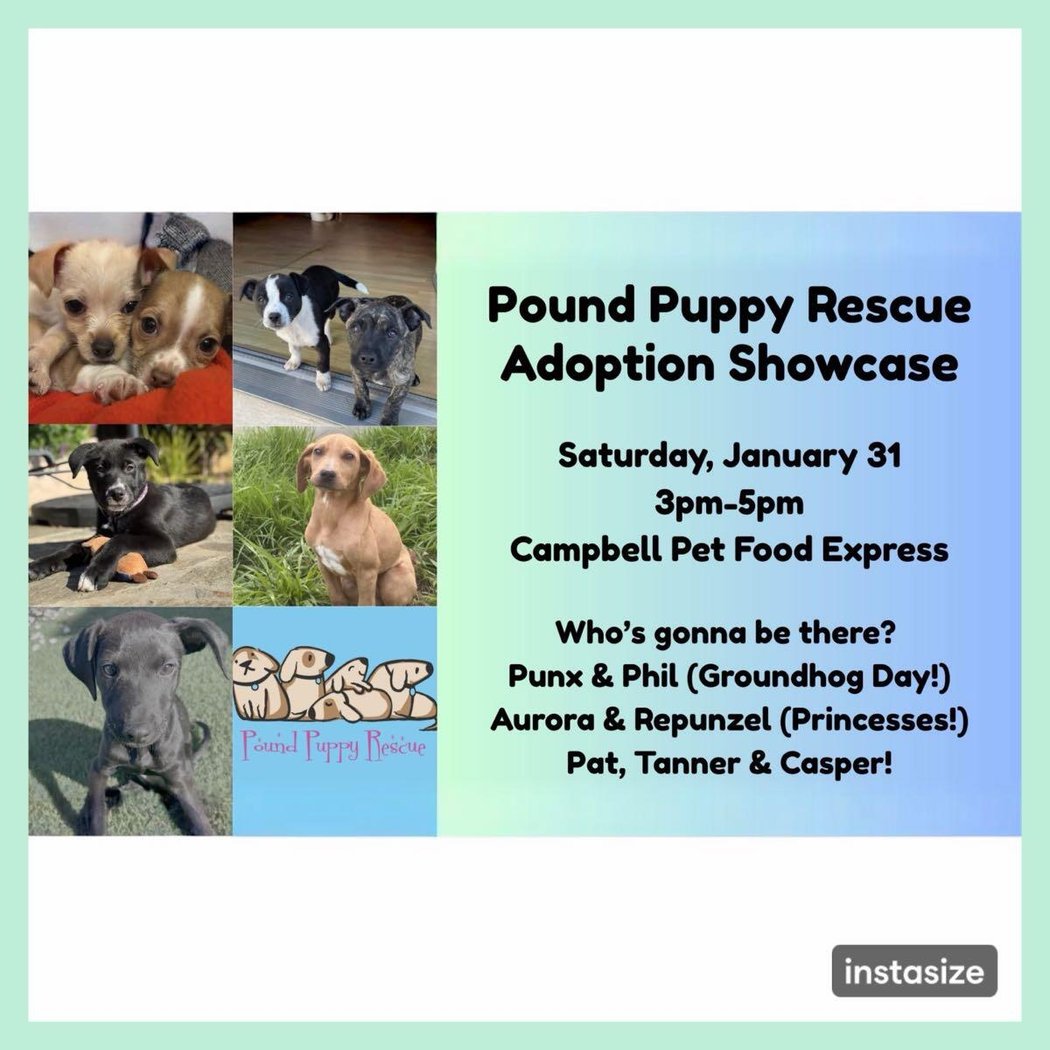Puppy Adoption Event 1
