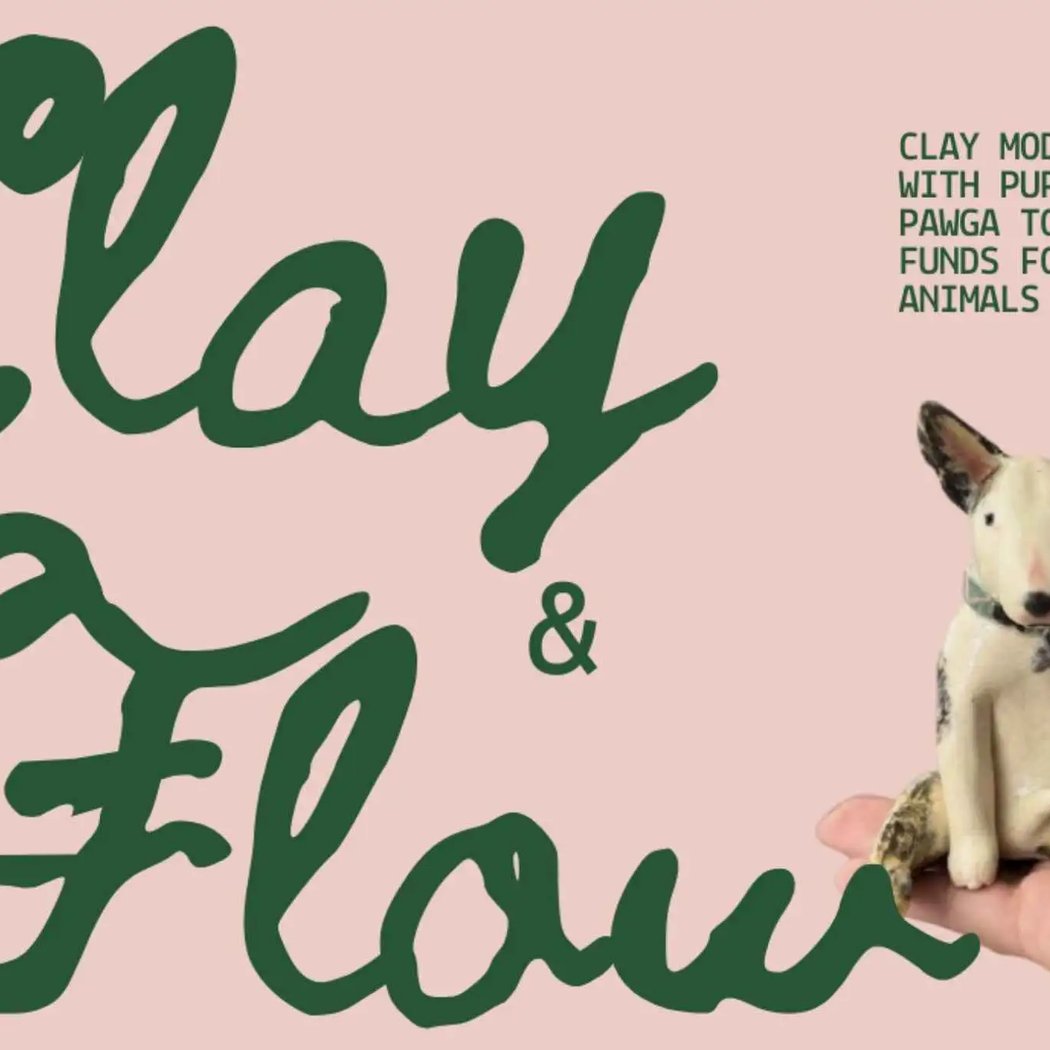 Bangalore Clay and Flow w. Puppies 1