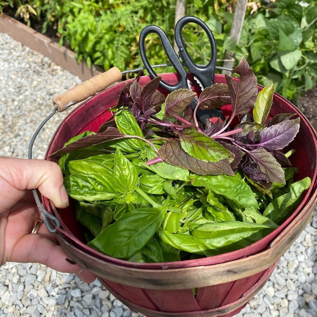 Avon Lake Community Garden 2