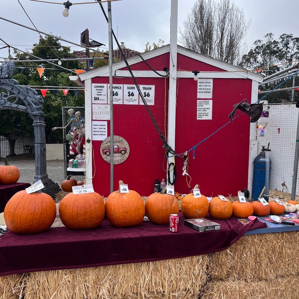 The Great Pumpkin Patch, Emerald Forest Christmas Trees 3
