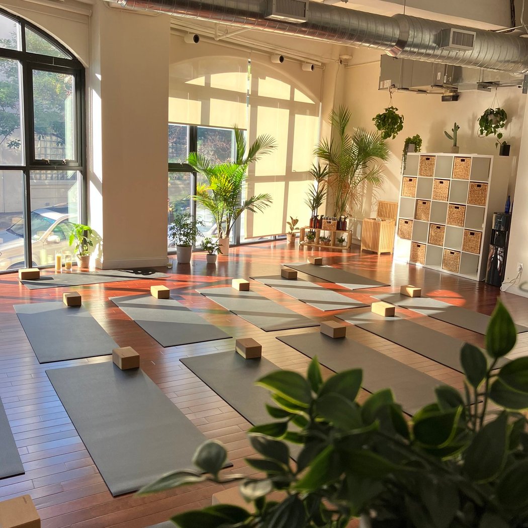 Yoga Space LIC 2