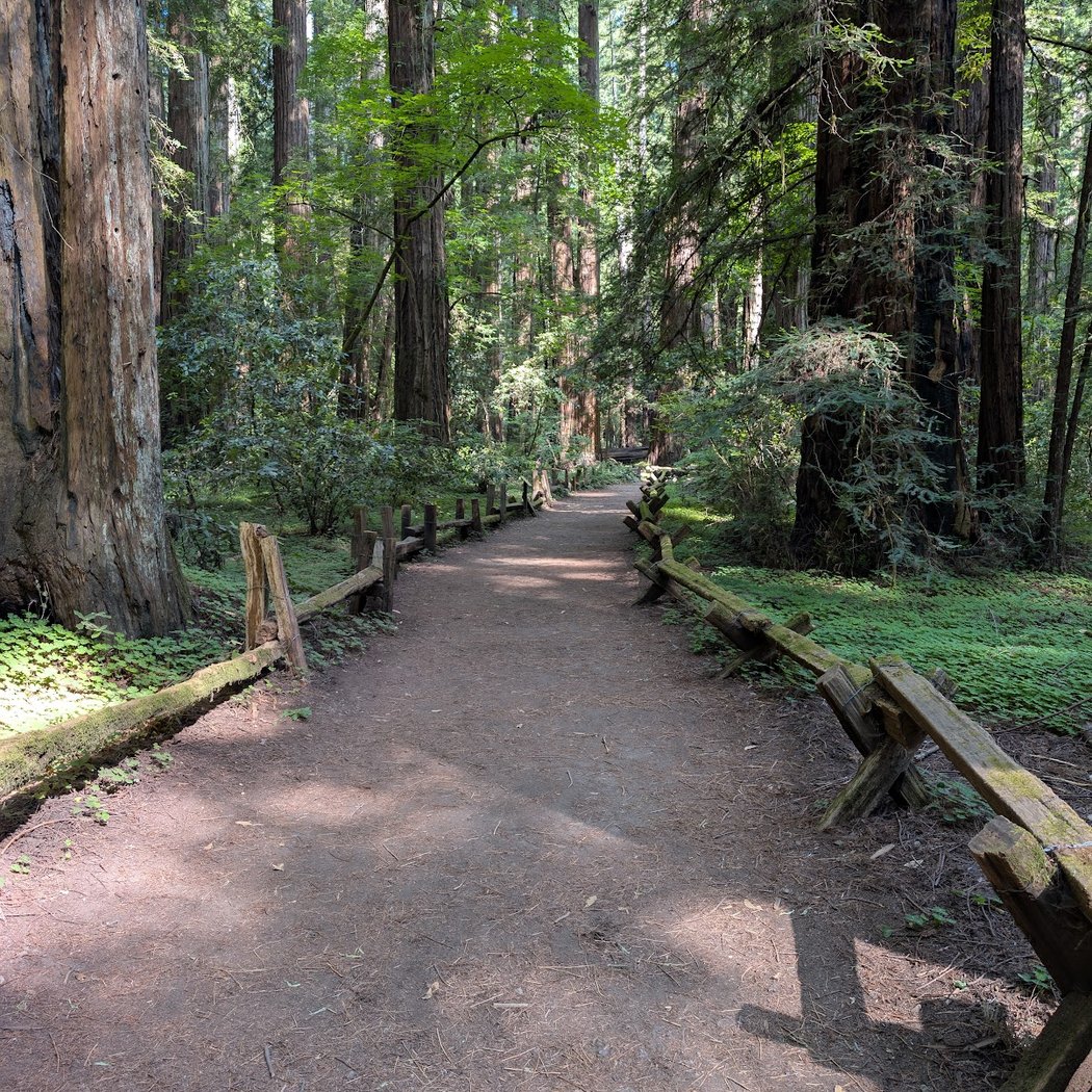 Friday after Thanksgiving docent-led walk 2
