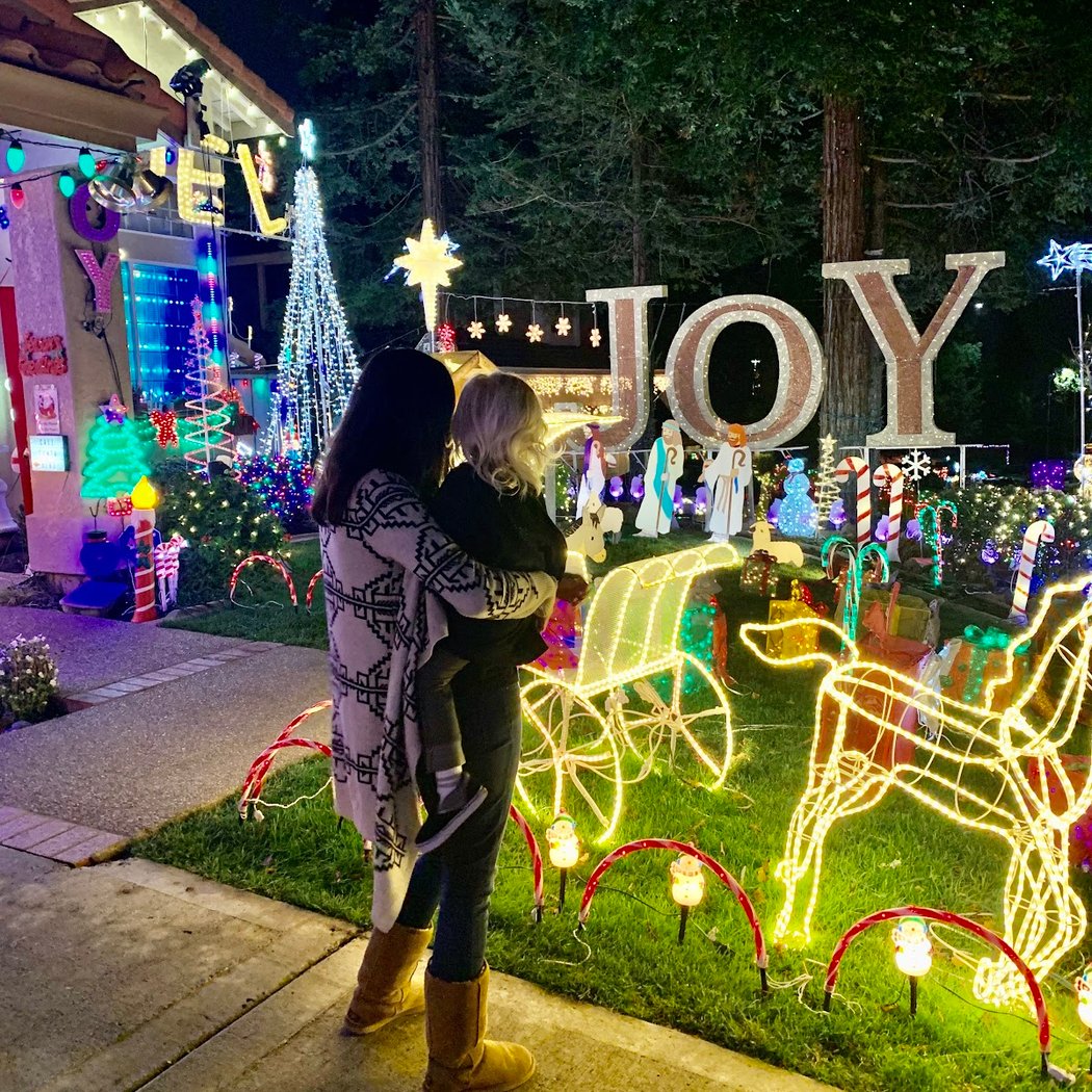 Dourov Livermore Christmas Light Display and Snow Machine 1