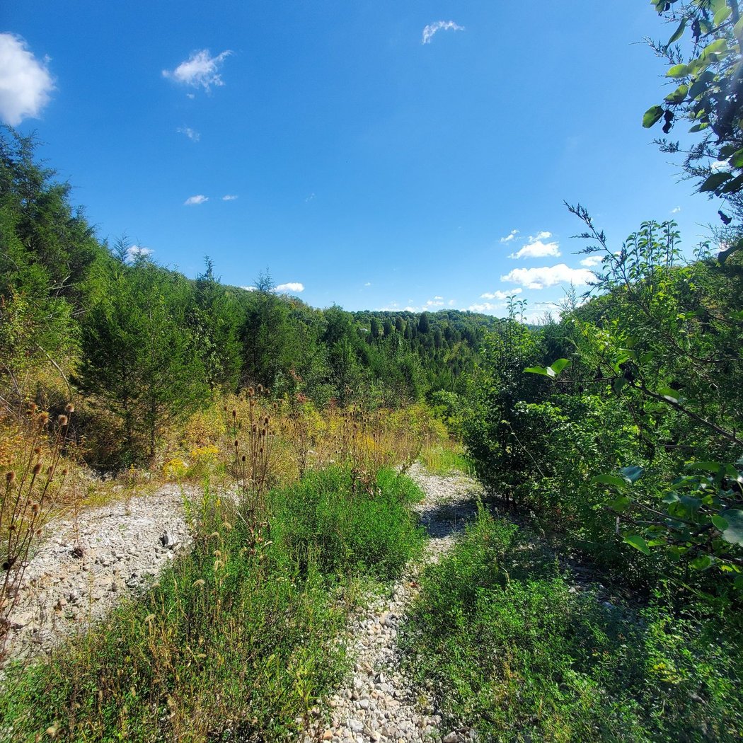 Mt. Airy TrailFest 2