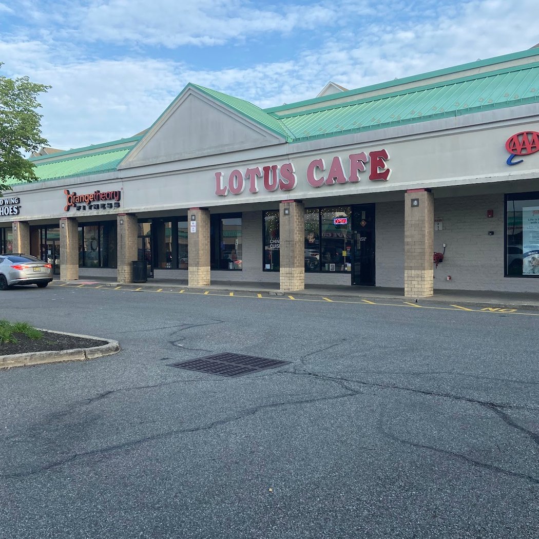 Lotus Cafe 2