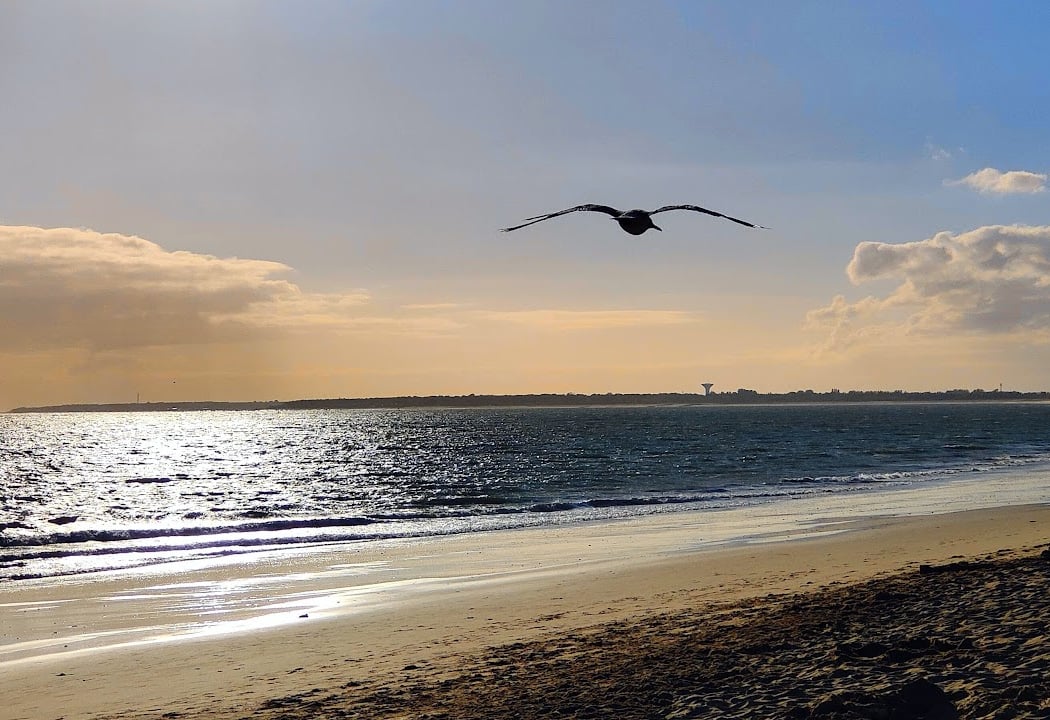 La Faute-sur-Mer 1