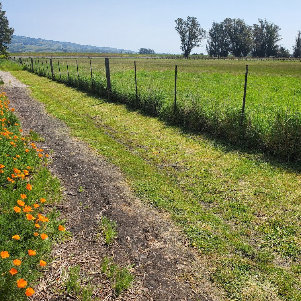 Laguna de Santa Rosa Trail - Cotati 3