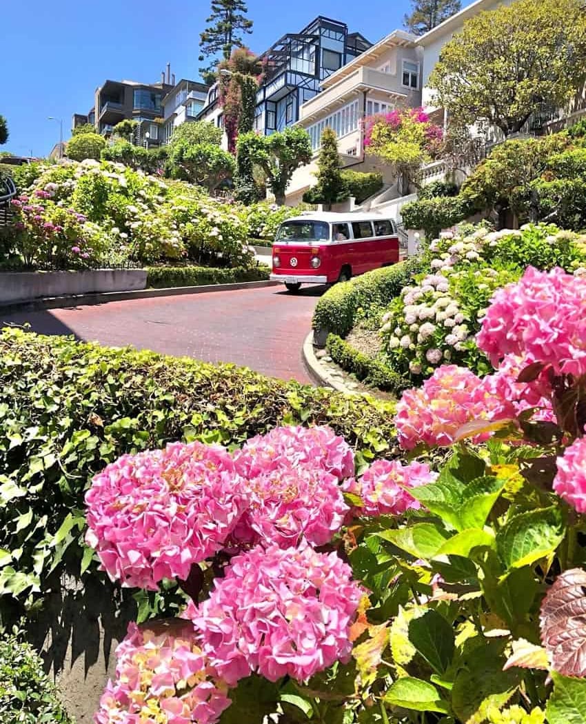 Painted Ladies Tour Company 1