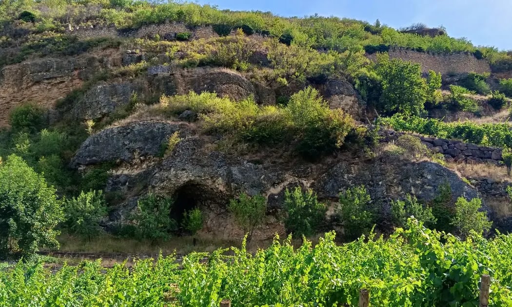 Visite géologique du vignoble de Turckheim