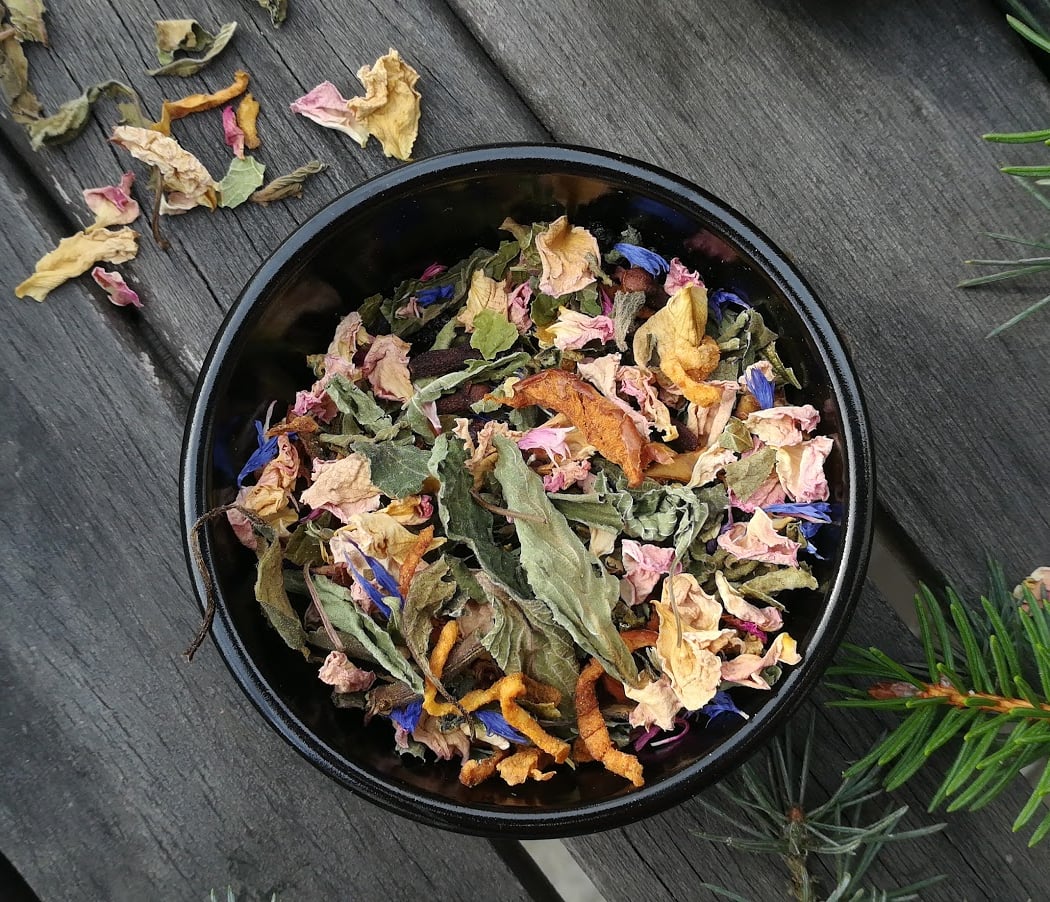 L'Herbier d'Elsa 2