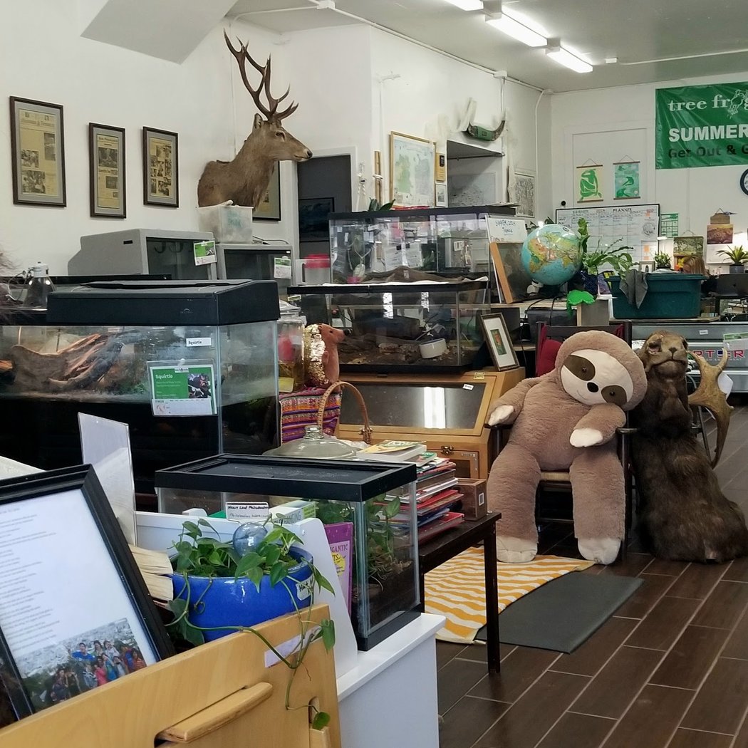 Library Program with Tree Frog Treks 3
