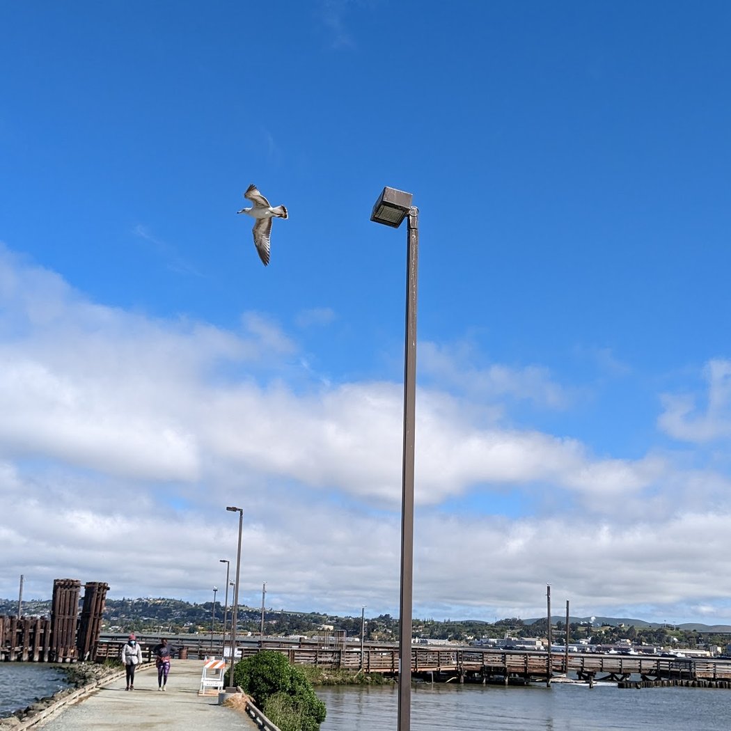 Martinez Yacht Club 3
