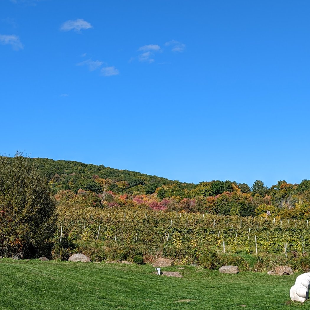 Hopkins Vineyard 3