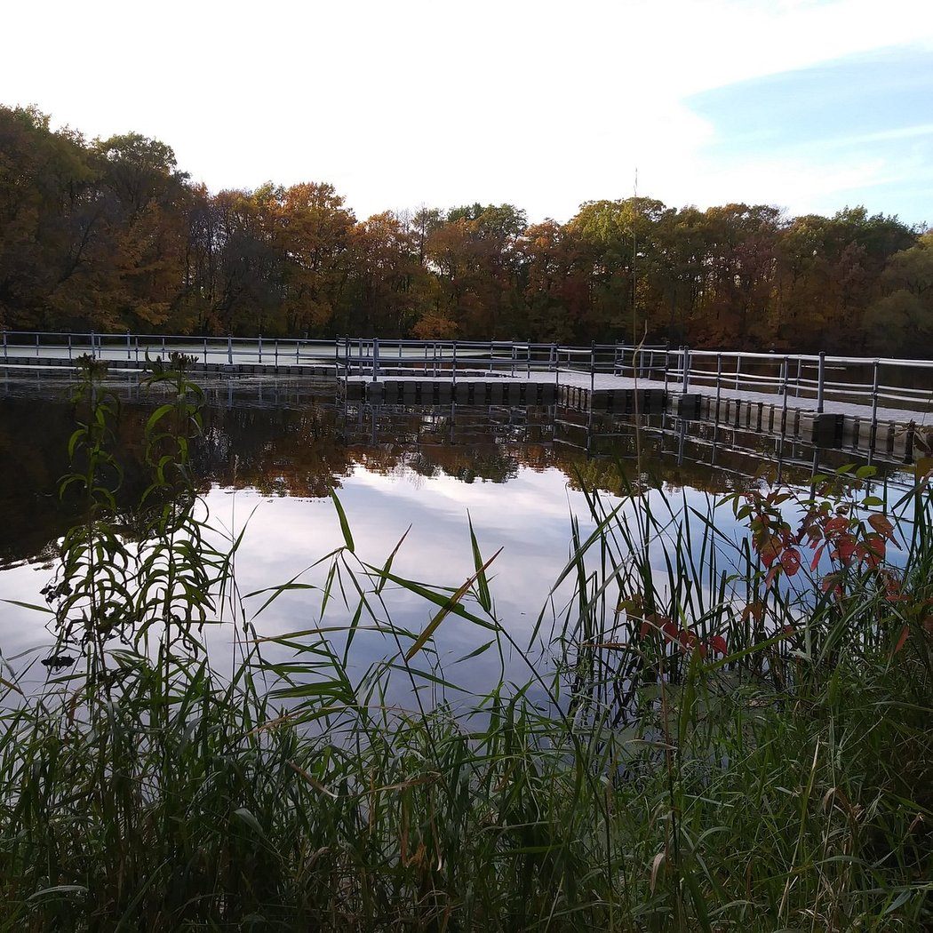 Pond Exploration 3
