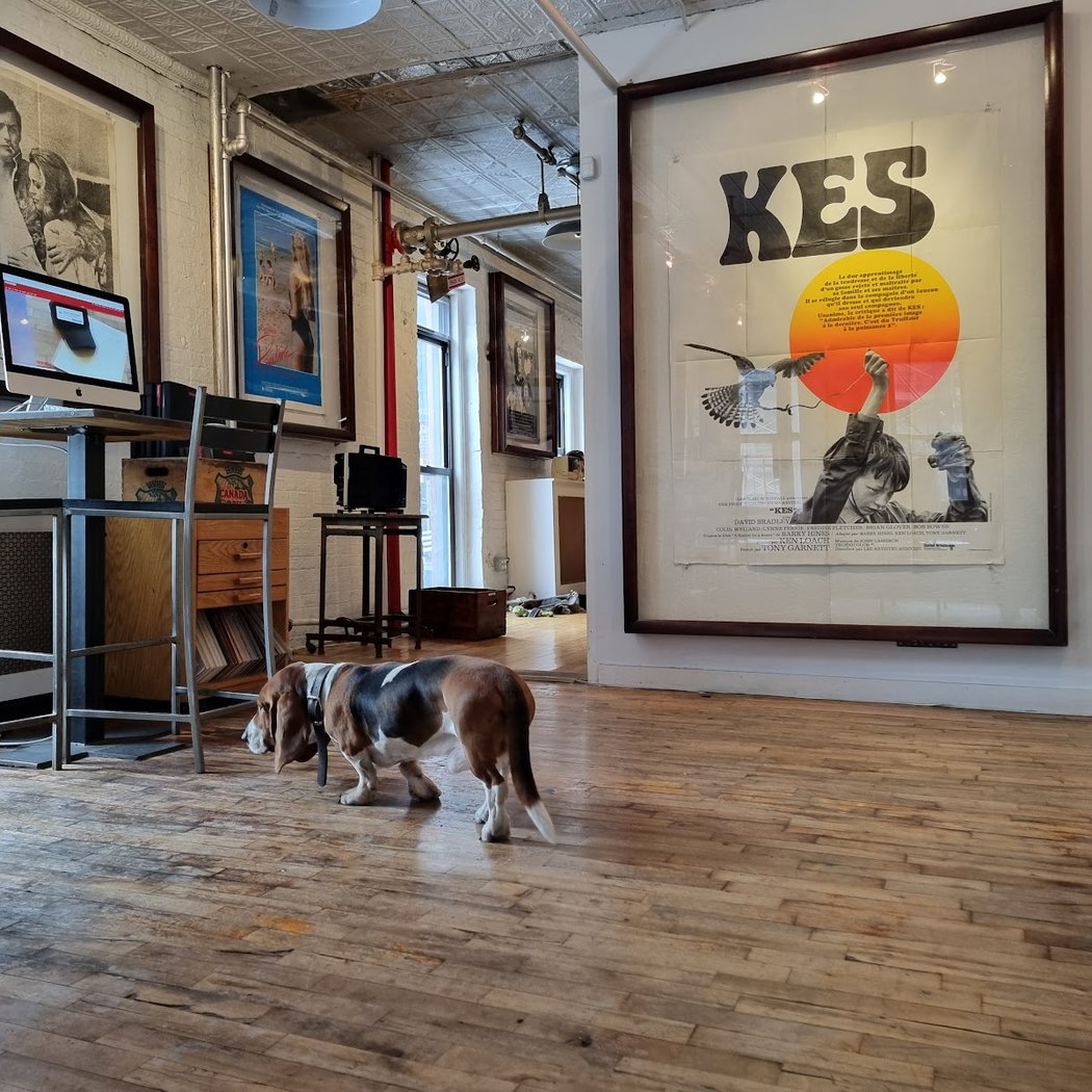 Dog-friendly screenings with drinks and snacks 1