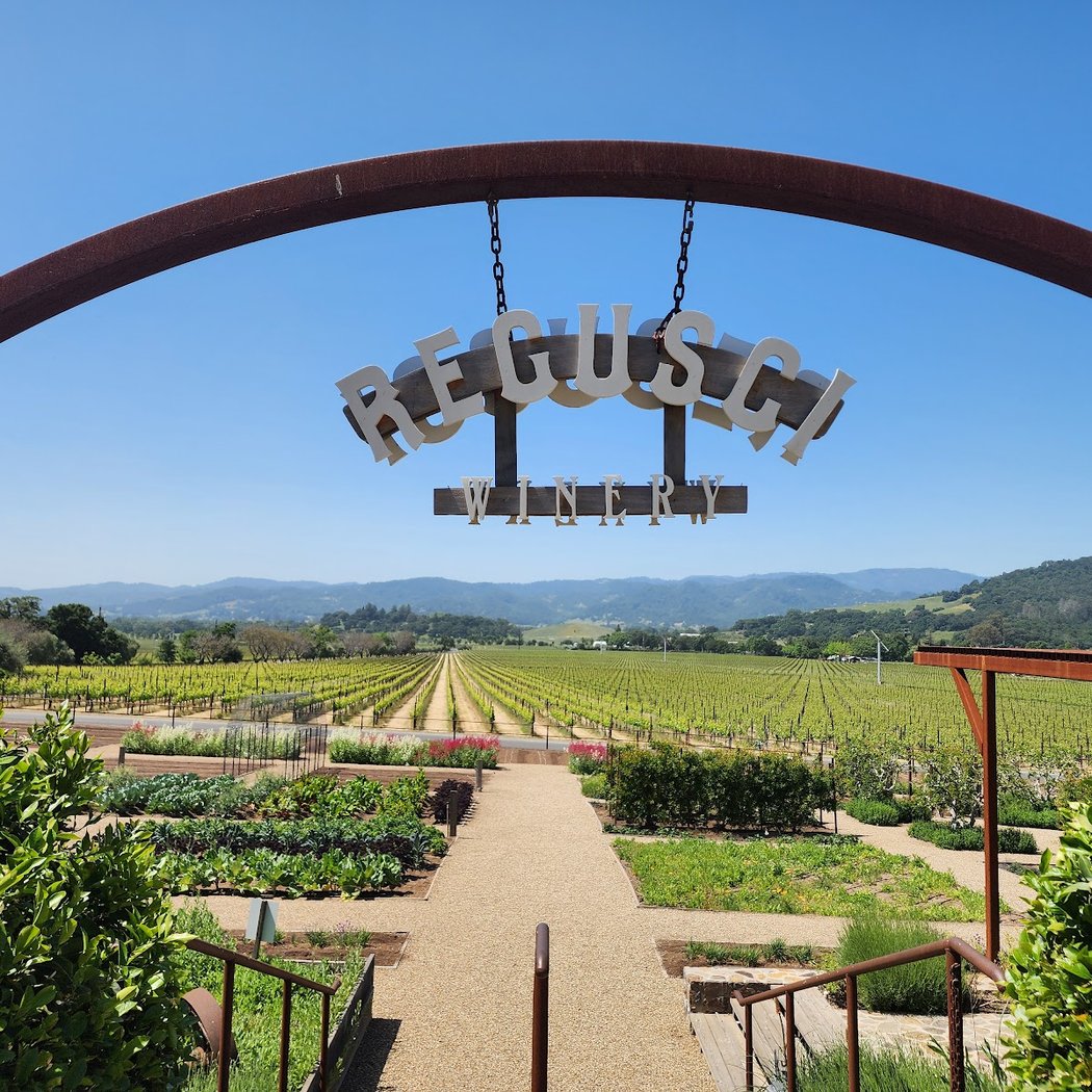 Regusci Winery 1